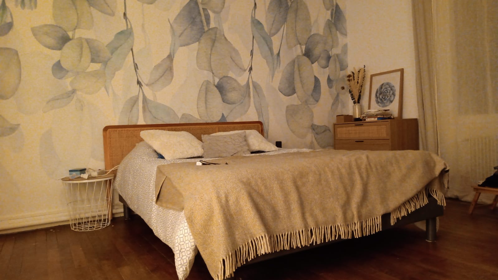 Kolokasie Vaires-sur-Marne 464430