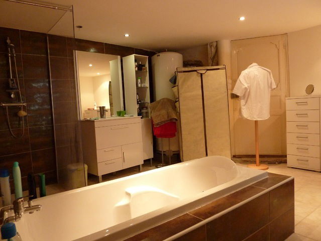 Kolokasie Béziers 49941