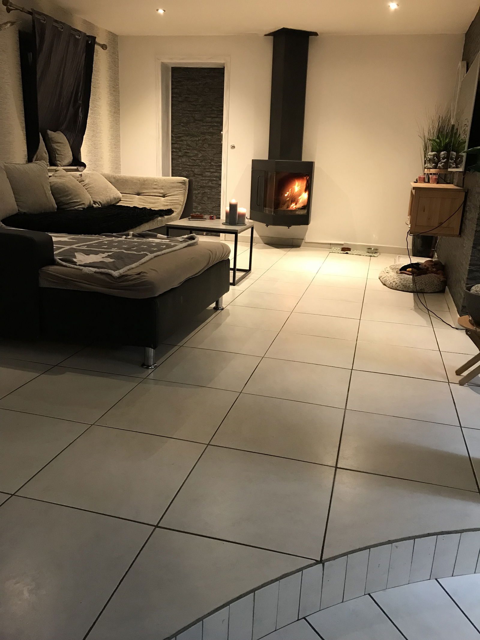 Kolokasie Beyne-Heusay 215941