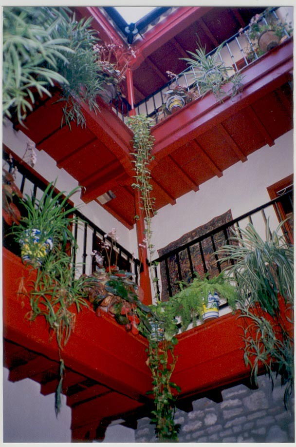 Kolokasie Sevilla 114067