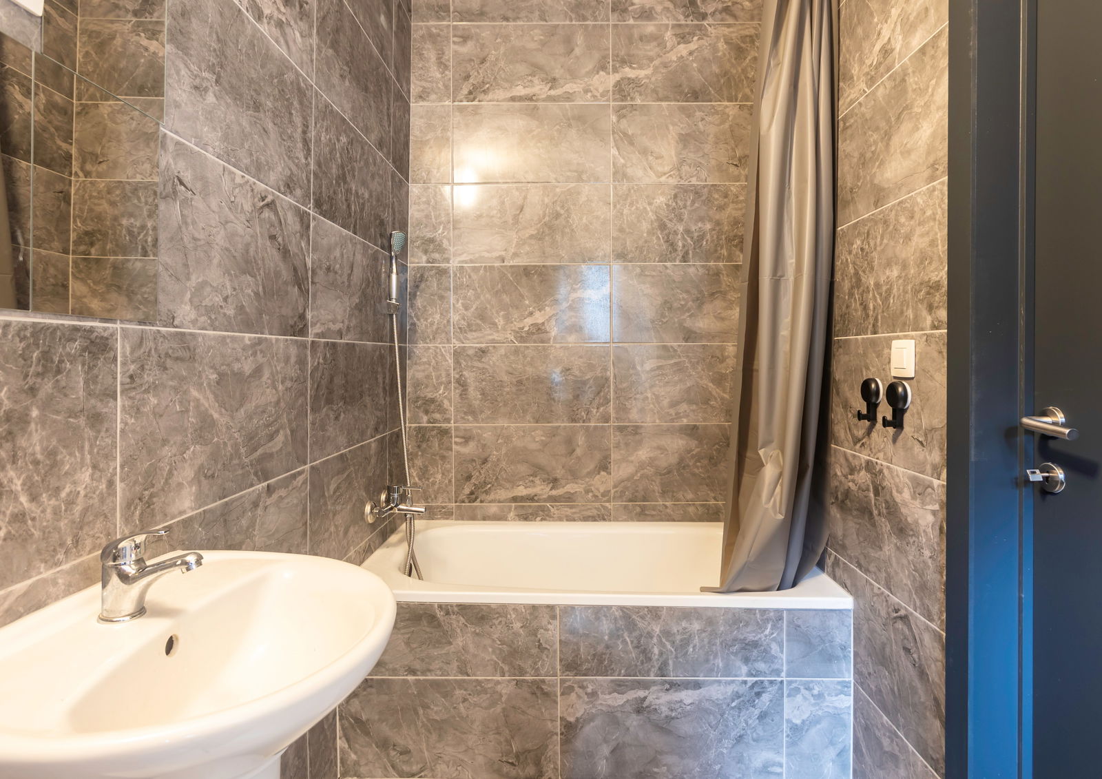 Kolokasie Liège 620624