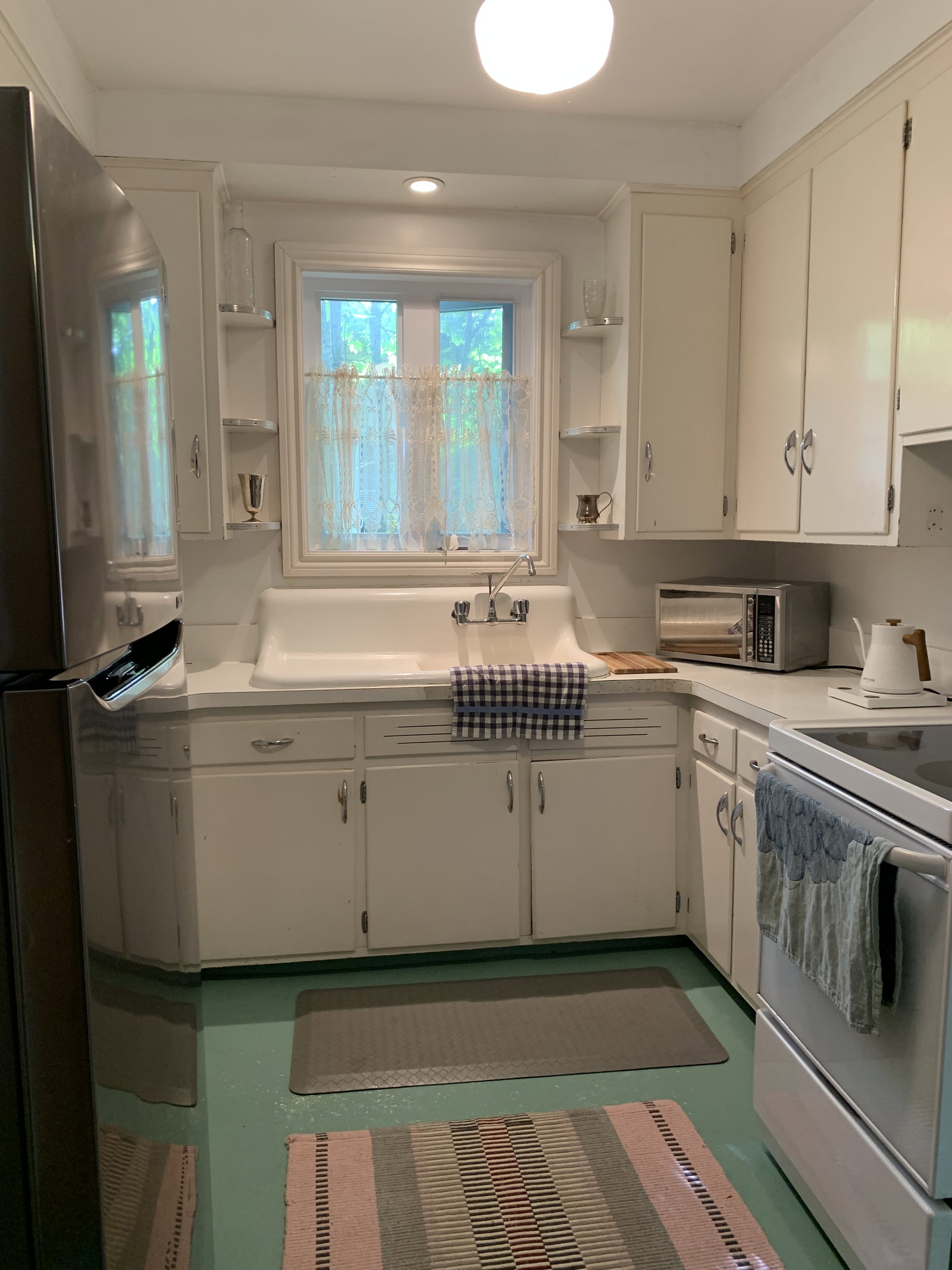 Kolokasie Sherbrooke 651744