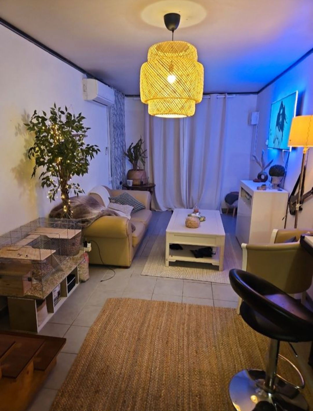 Colocatie Marseille 395936