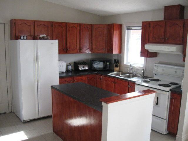 Kolokasie Gatineau 75824