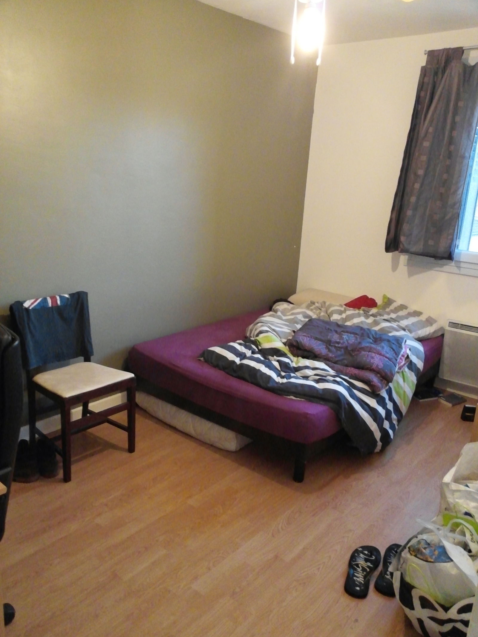 Kolokasie Saint-Martin-d'Hères 118499