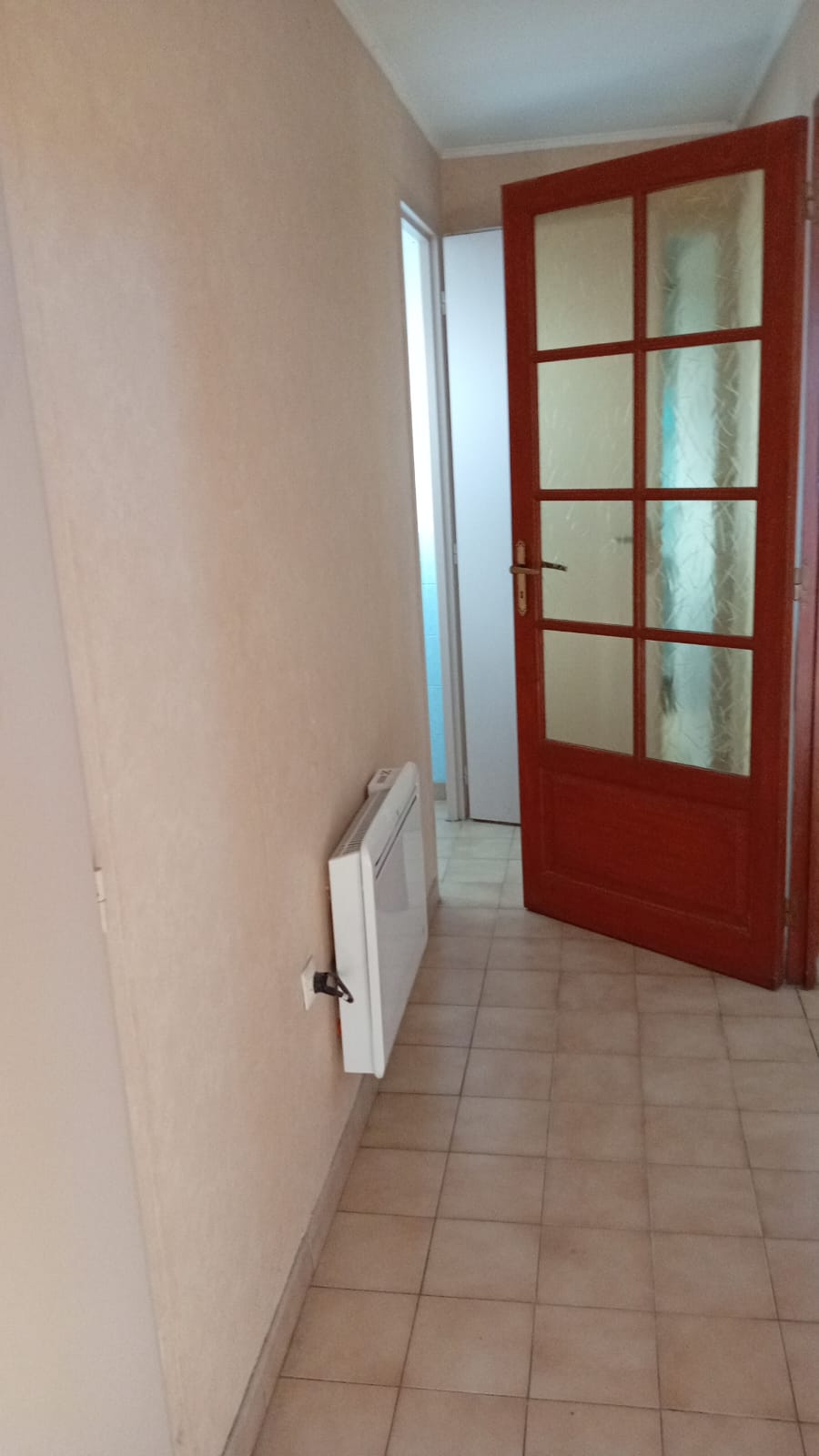 Kolokasie Canet 480704