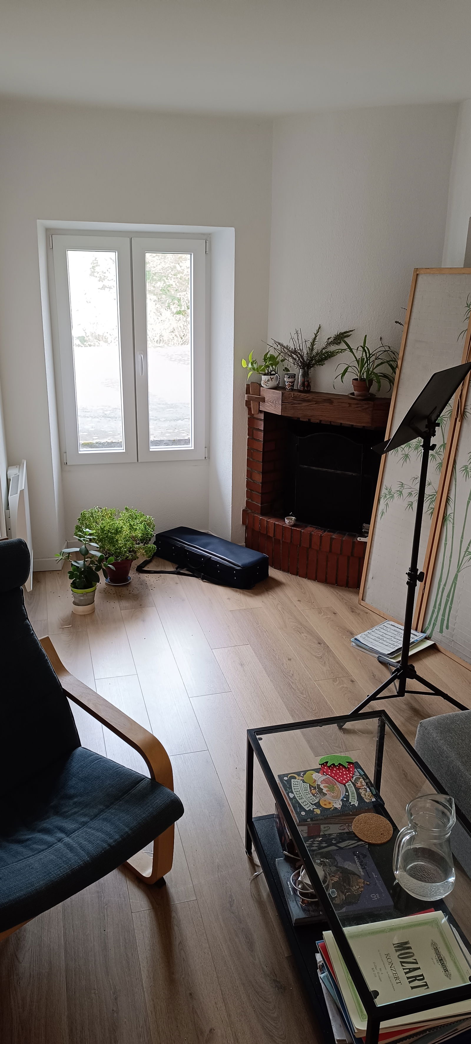 Colocatie Gaillard 439806