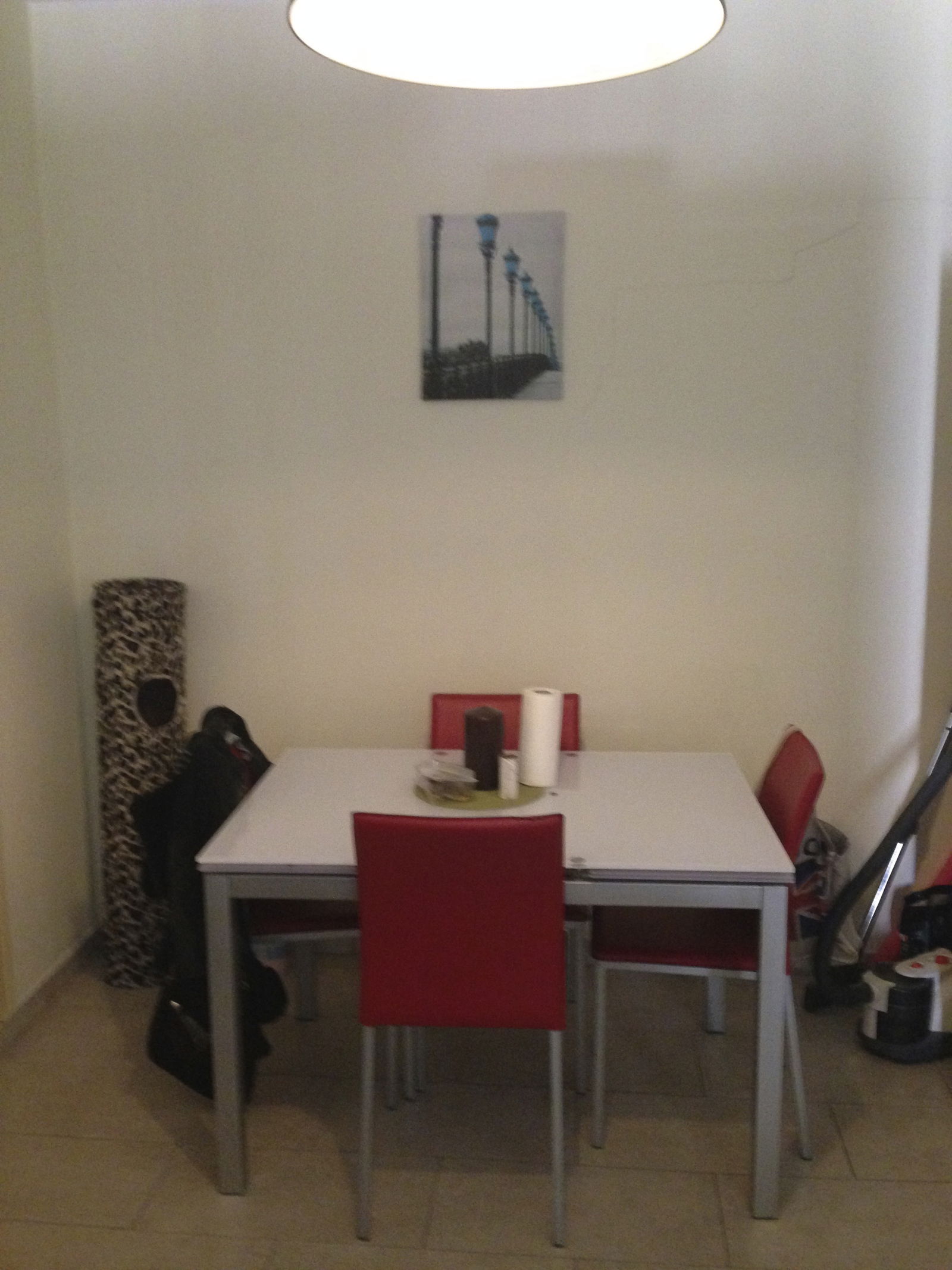 Colocatie Nice 66240