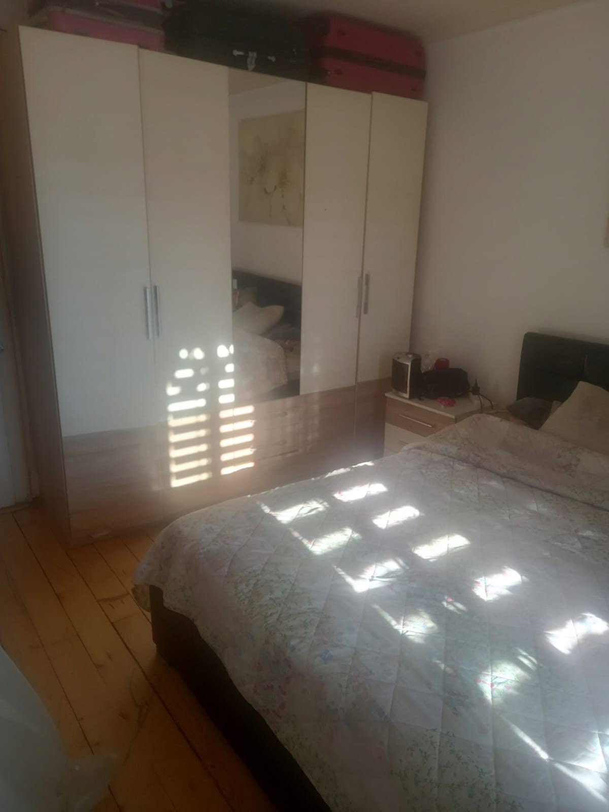 Kolokasie Genève 490834