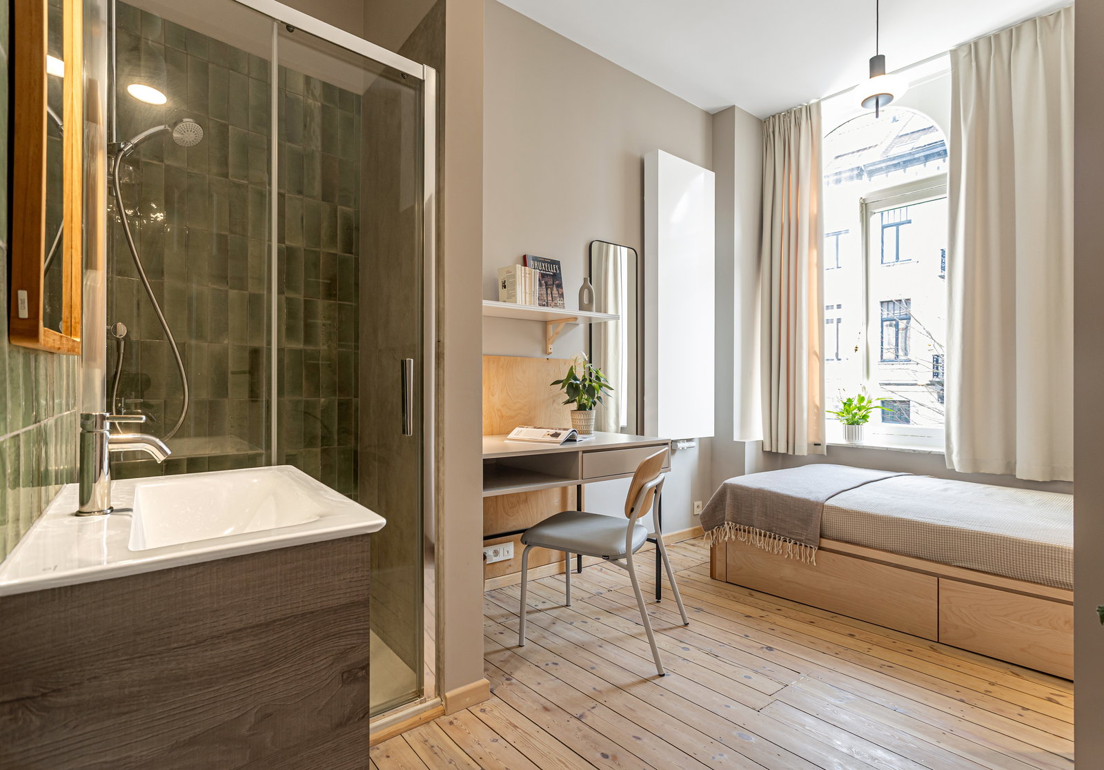 Kolokasie Schaerbeek 504562