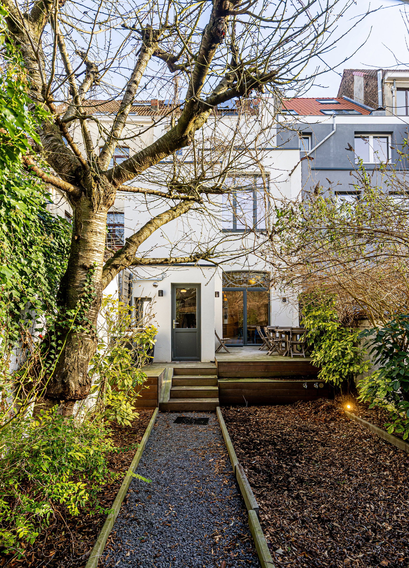 Kolokasie Schaerbeek 504562