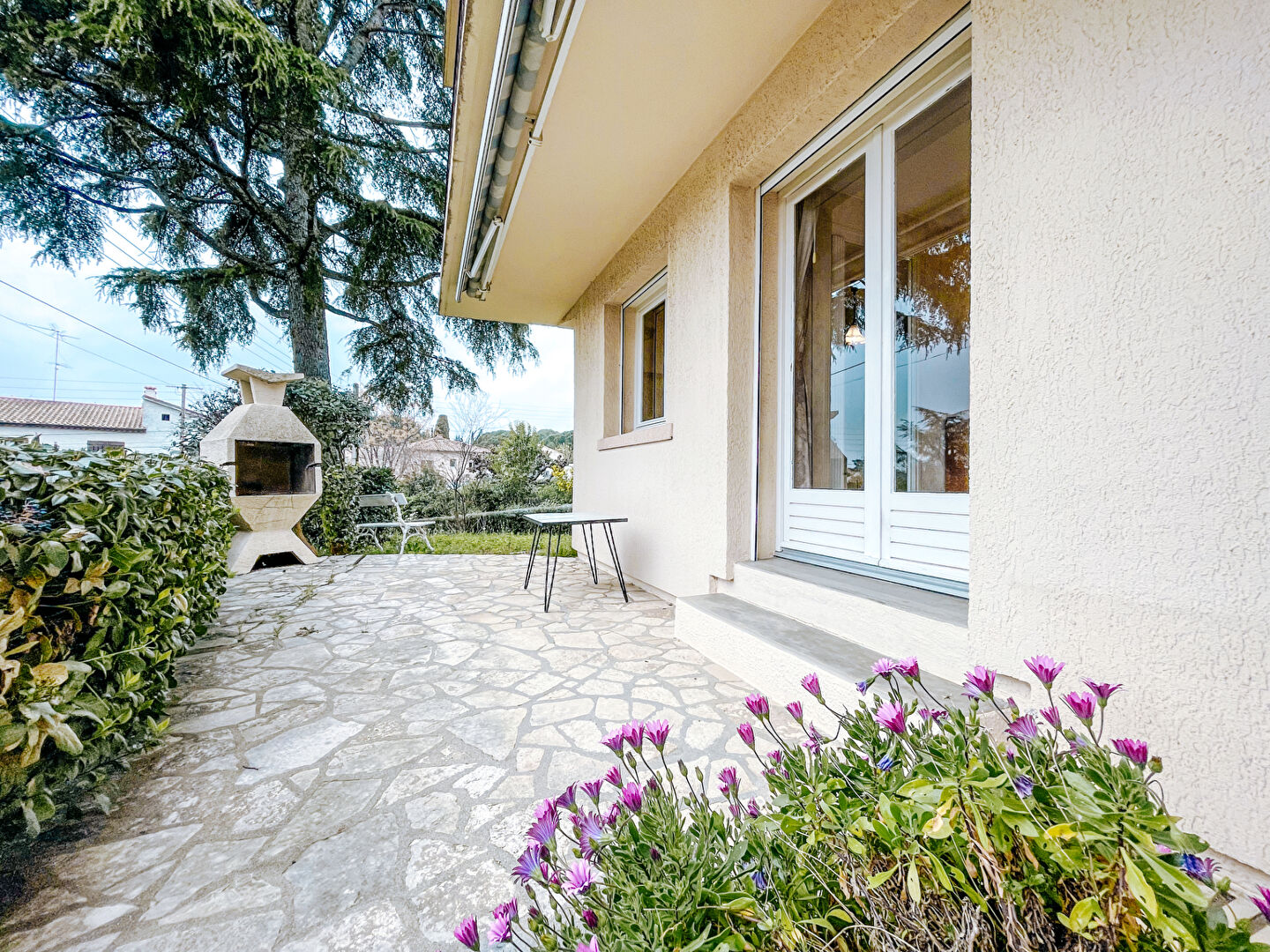 Kolokasie Castelnau-le-Lez 505224