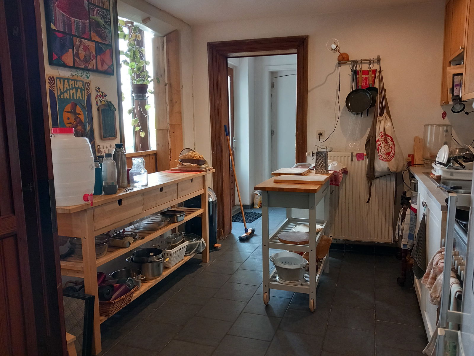 Kolokasie Namur 117560