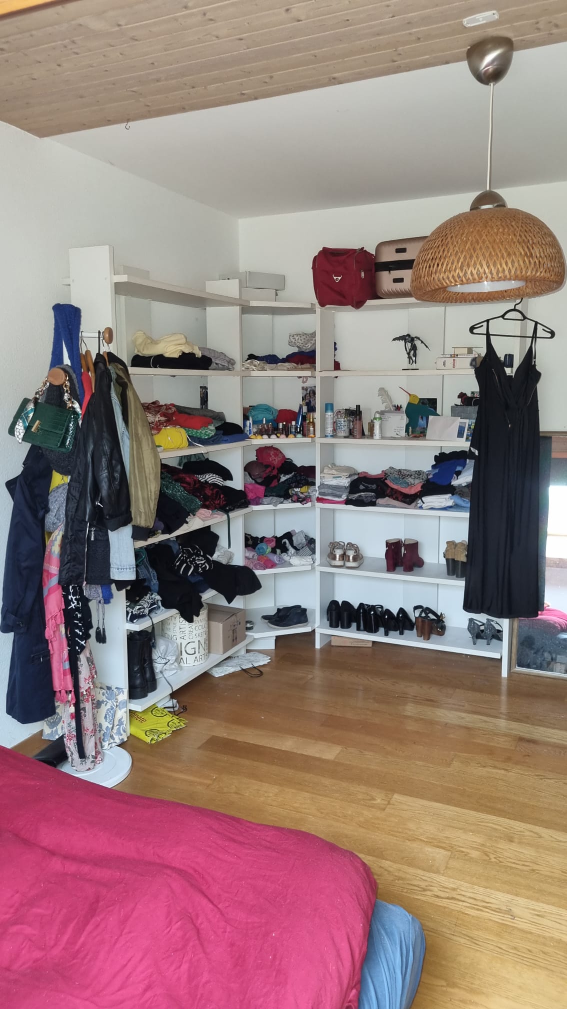 Kolokasie Pully 388481