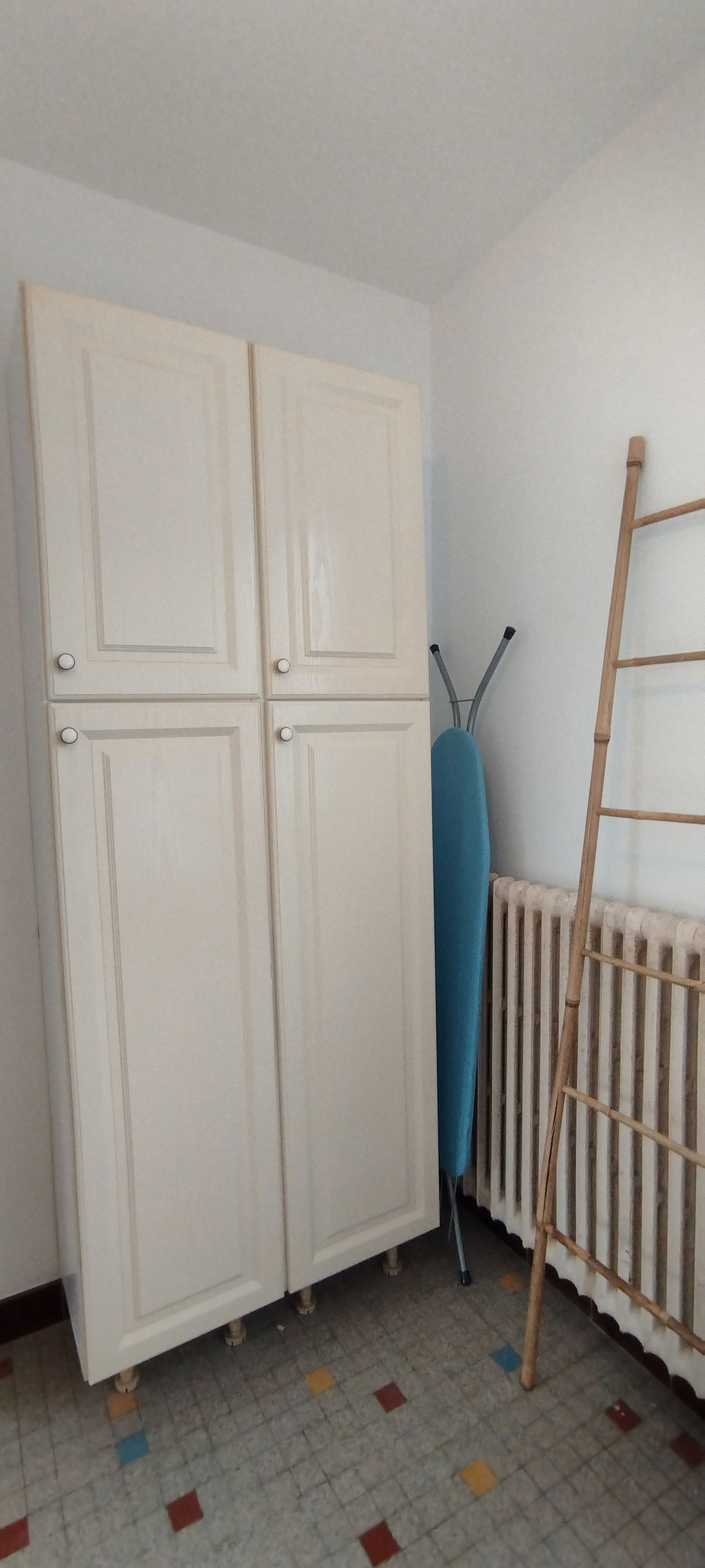 Kolokasie Thionville 530670