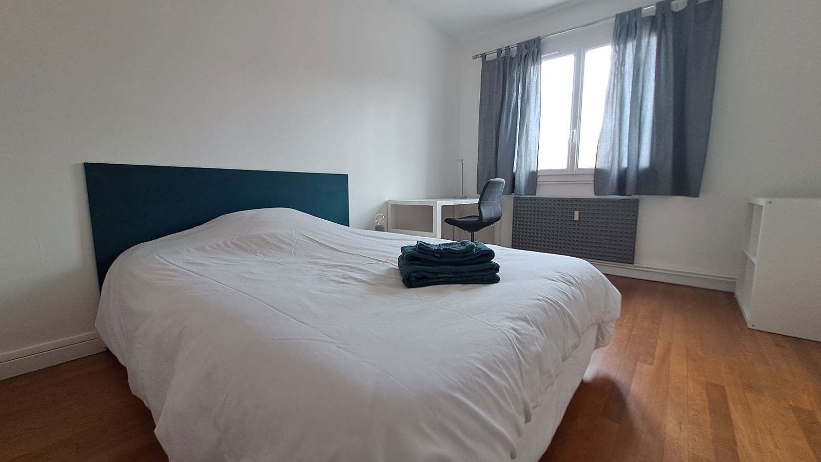 Kolokasie Saint-Étienne 241974