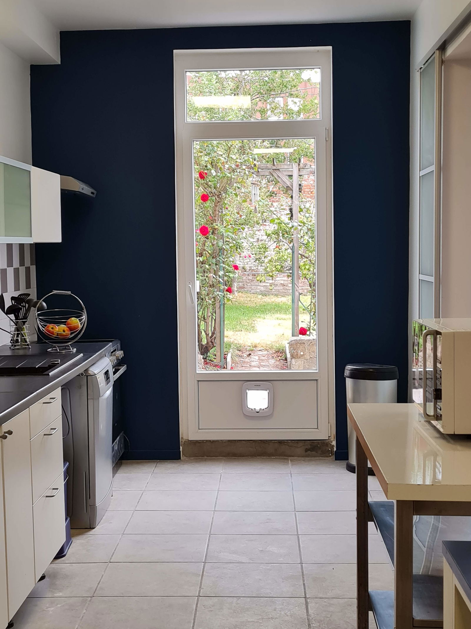 Kolokasie Roubaix 600979