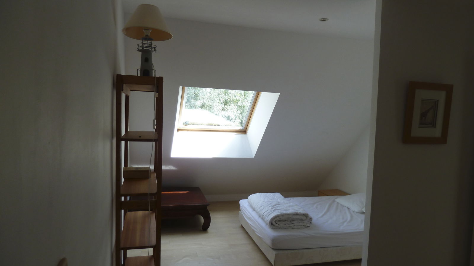 Kolokasie Rouillon 109080