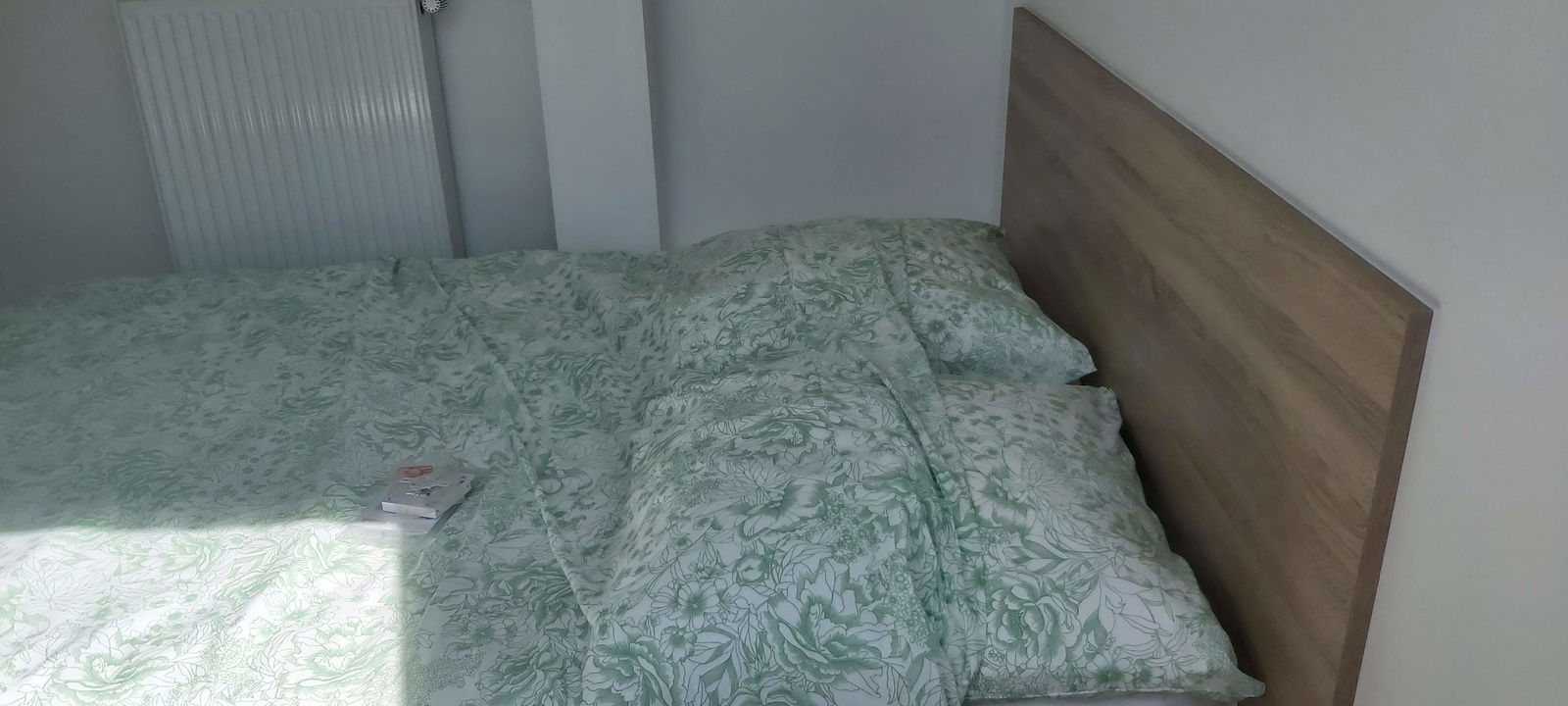 Kolokasie Illkirch-Graffenstaden 458999