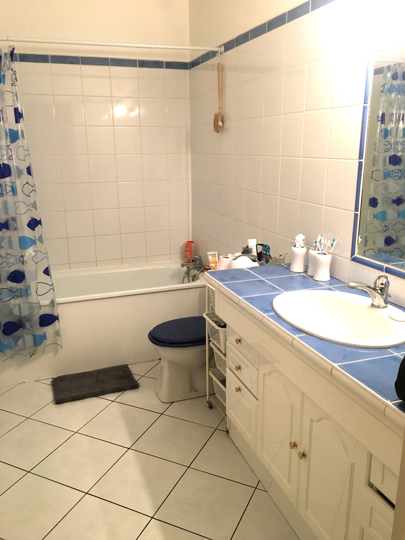 Kolokasie Soisy-sur-Seine 449950