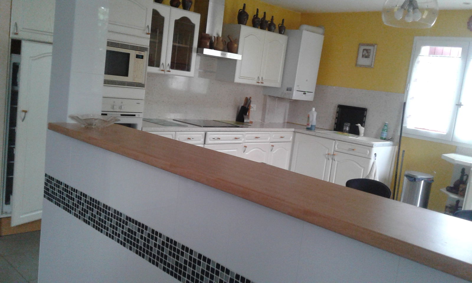 Kolokasie Blagnac 248875