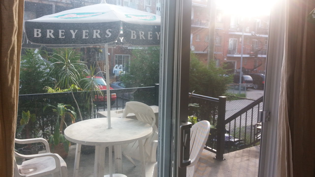 Kolokasie Montréal 100192