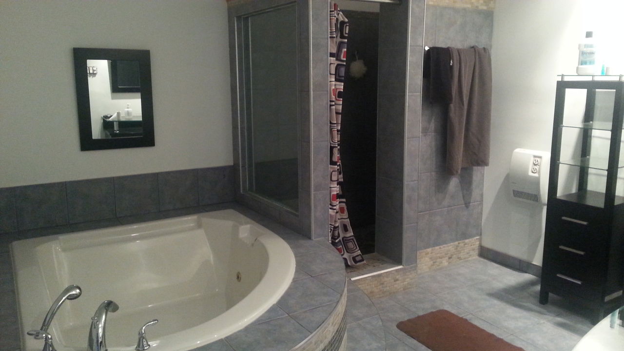 Kolokasie Montréal 100192