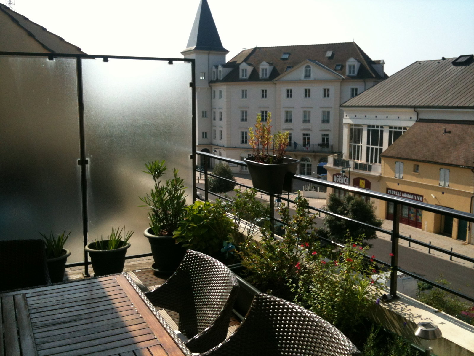 Kolokasie Vauréal 106858