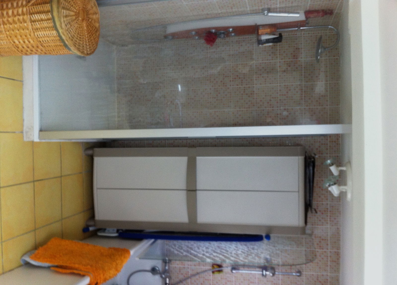 Kolokasie Amiens 110013