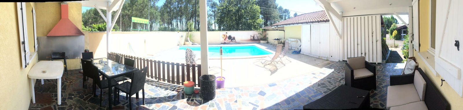 Kolokasie Narrosse 142607