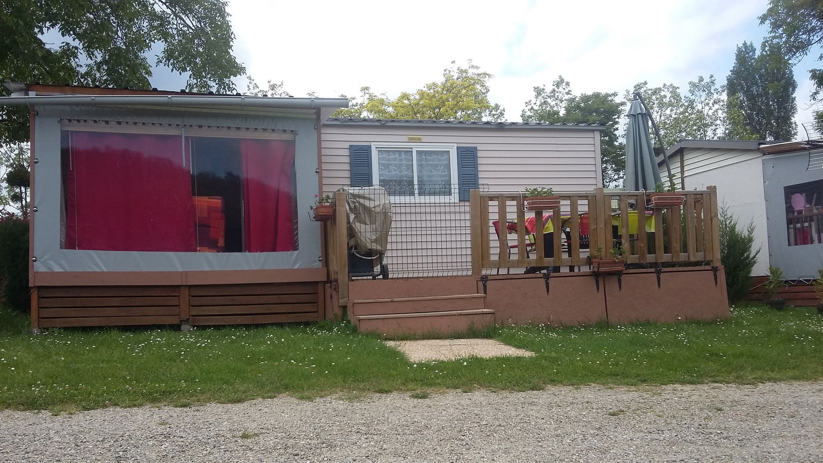 Kolokasie Foix 137076