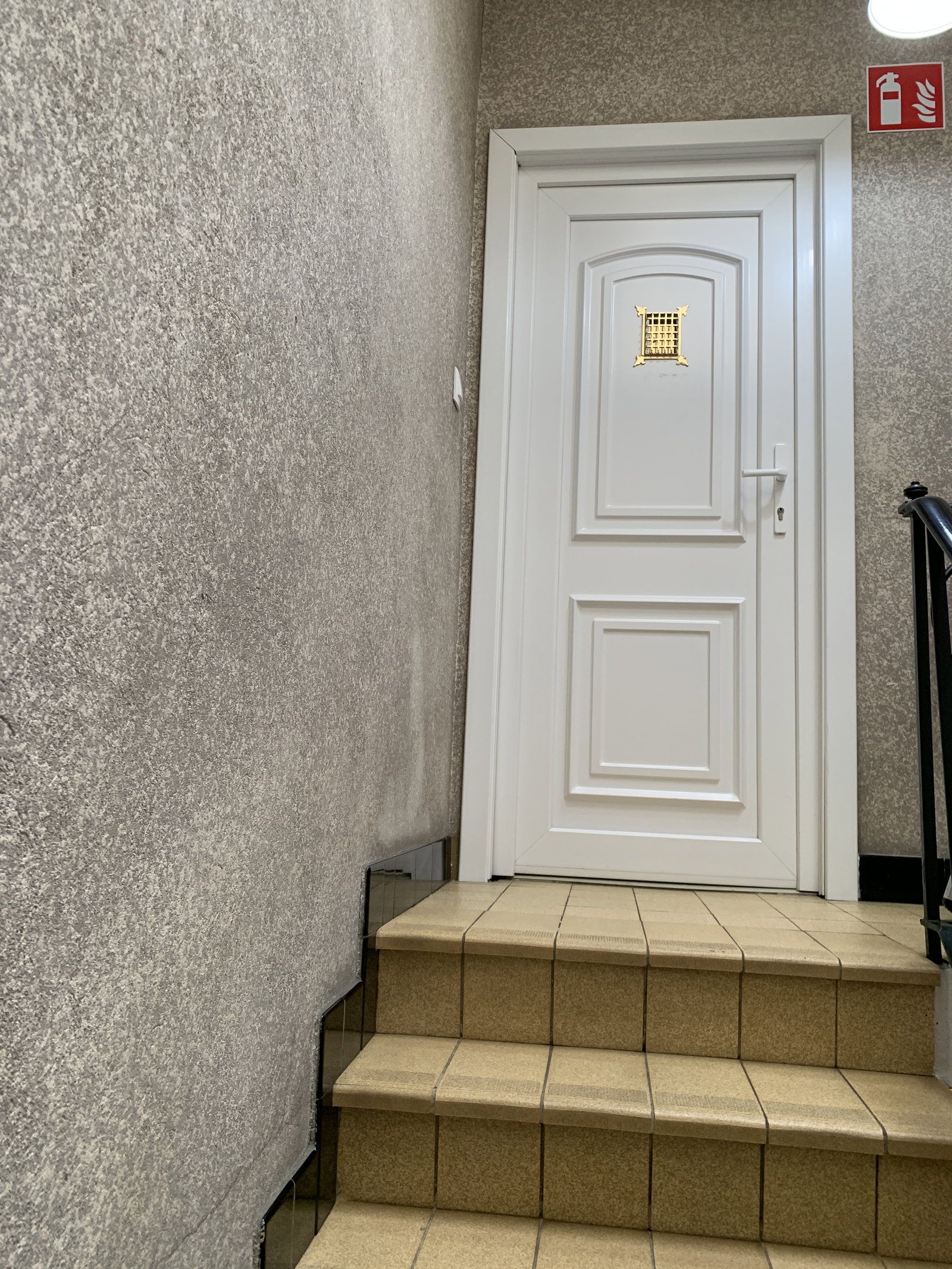 Kolokasie Charleroi 617858