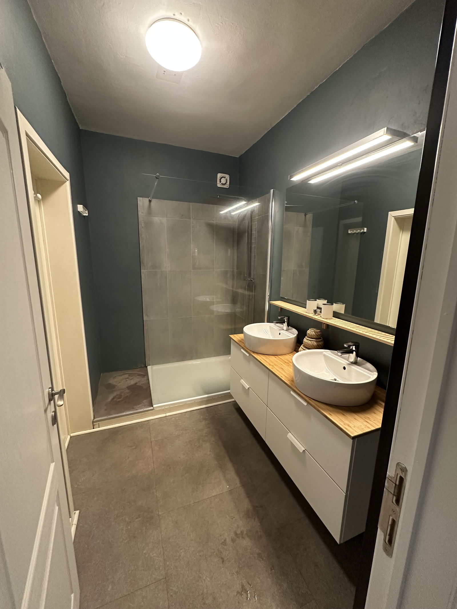 Kolokasie Charleroi 617858