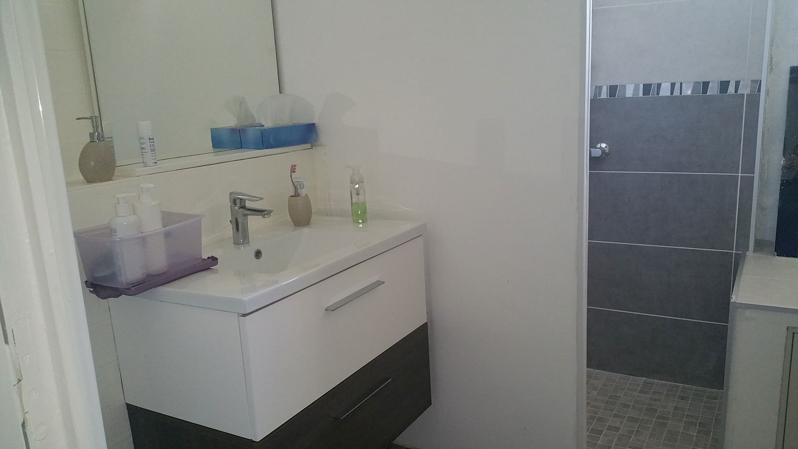 Kolokasie Aix-en-Provence 181847