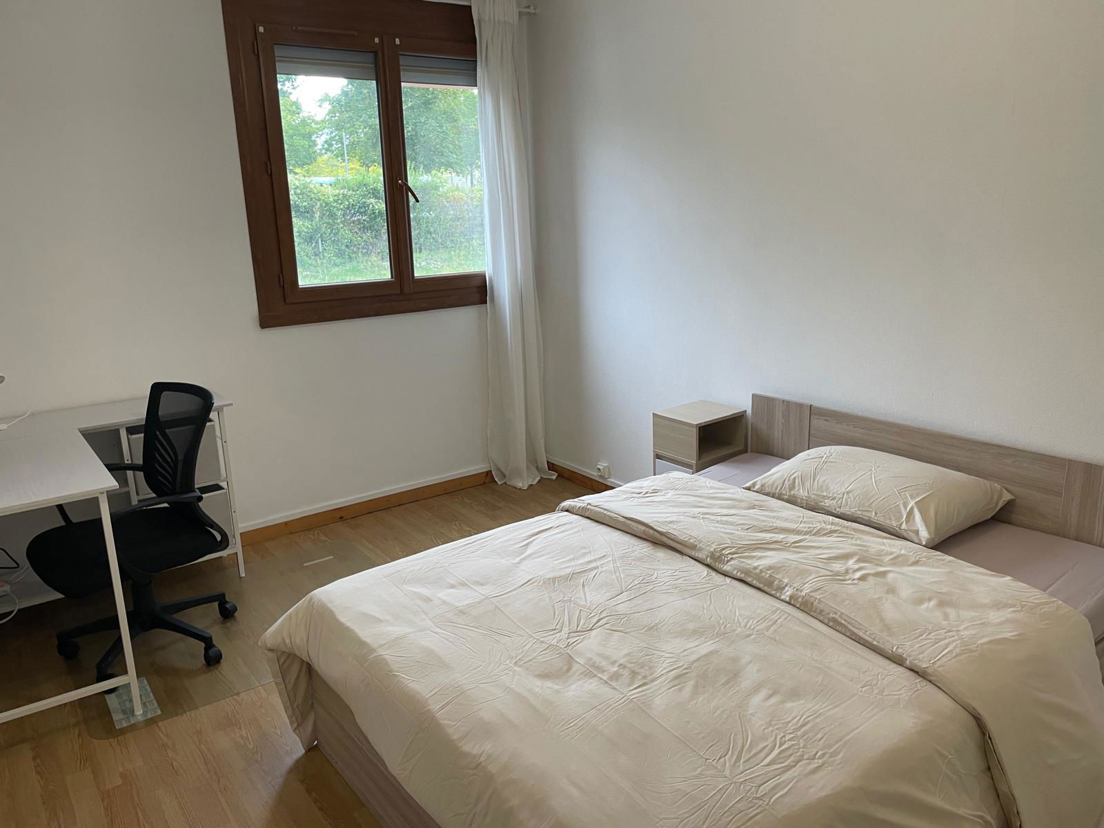 Kolokasie Amiens 581548