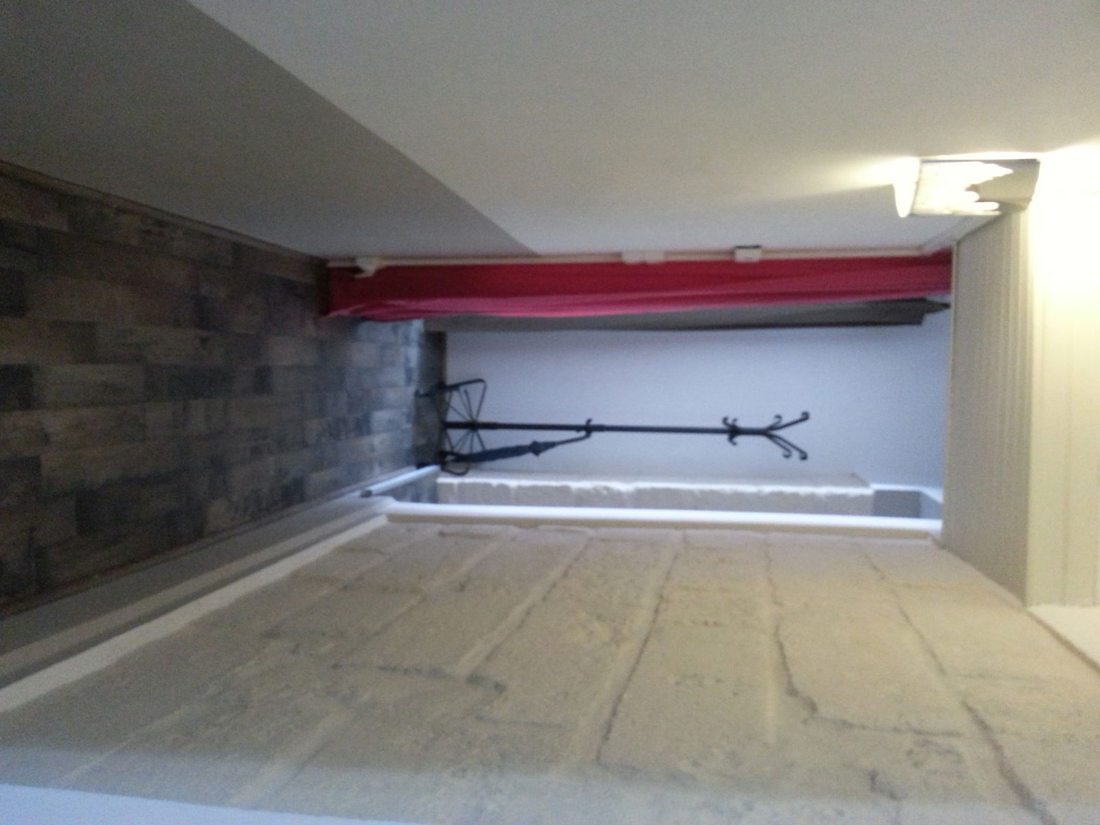 Kolokasie Avignon 136839