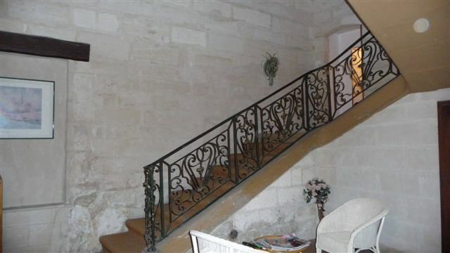 Kolokasie Avignon 100440