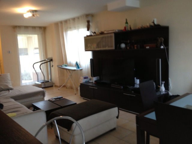 Kolokasie Baillet-en-France 20057