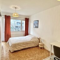 Kolokasie Annemasse 658958