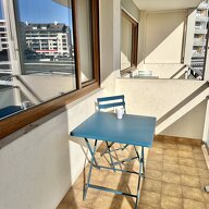 Kolokasie Annemasse 658958