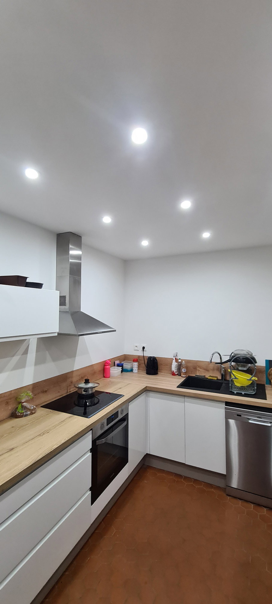 Kolokasie Évreux 661812