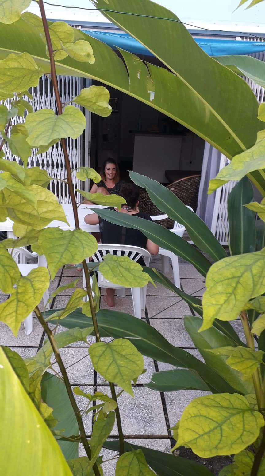 Kolokasie Le Gosier 547687