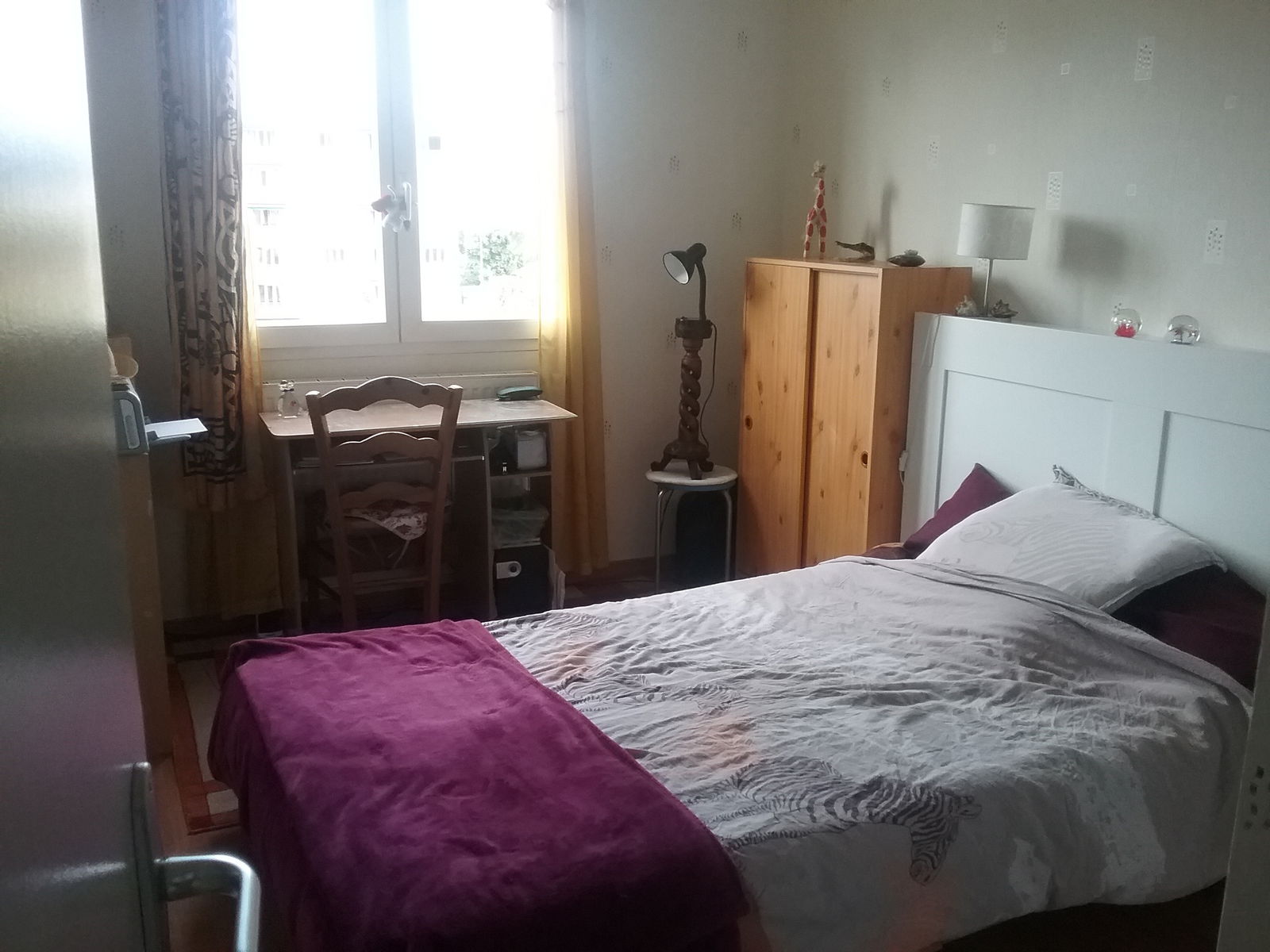 Kolokasie Échirolles 138041