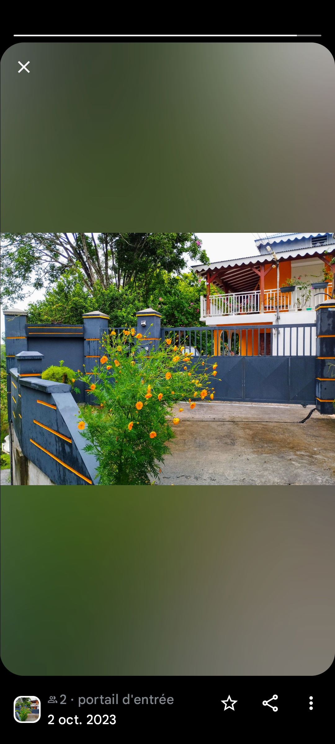 Kolokasie Les Abymes 422612