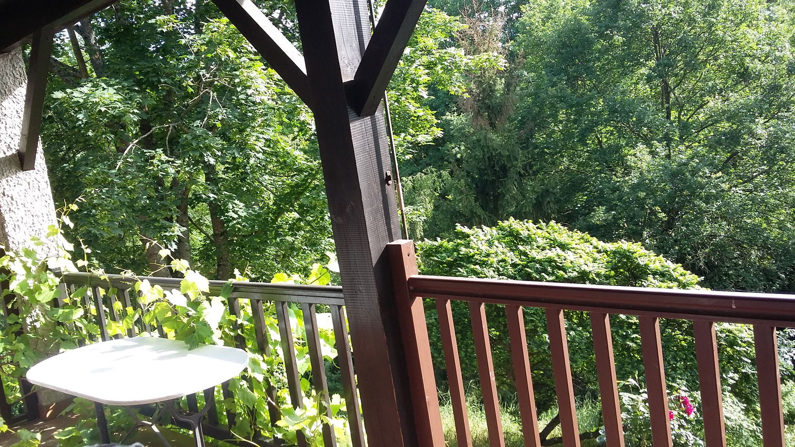 Kolokasie La Tour-de-Salvagny 138409