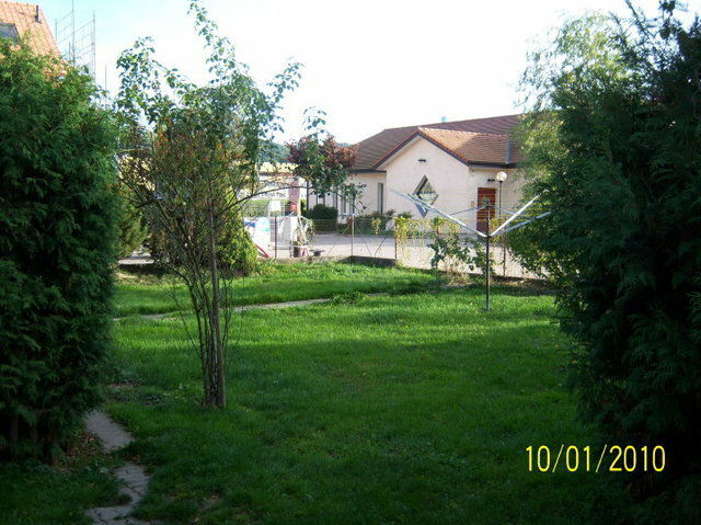 Kolokasie Lucens 1406