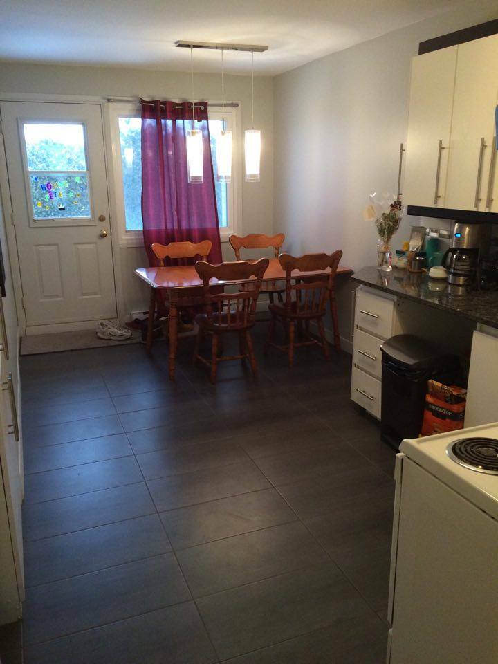 Kolokasie Ville de Québec 126689