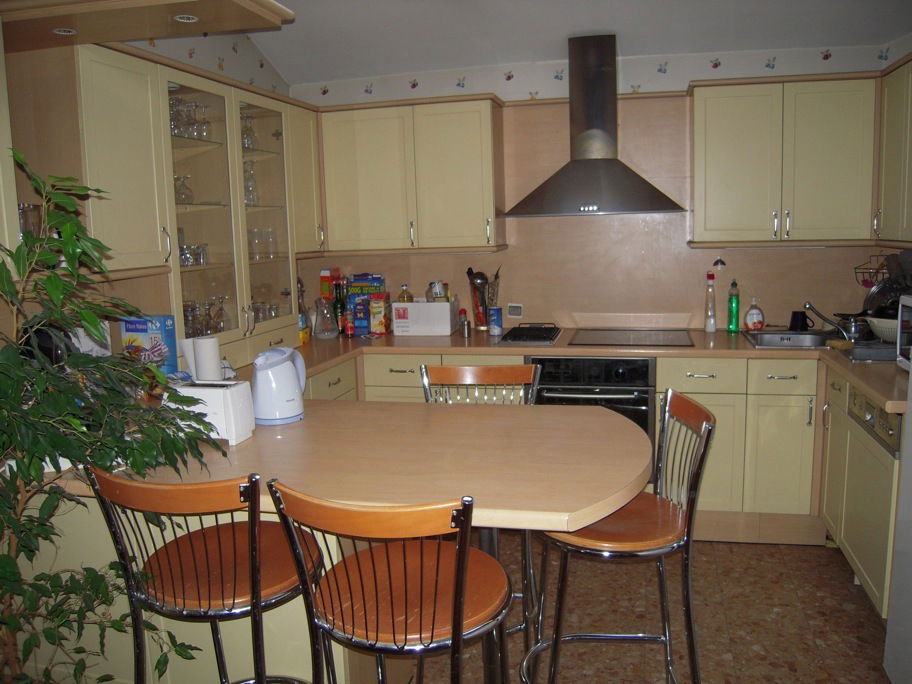 Kolokasie Lille 64477