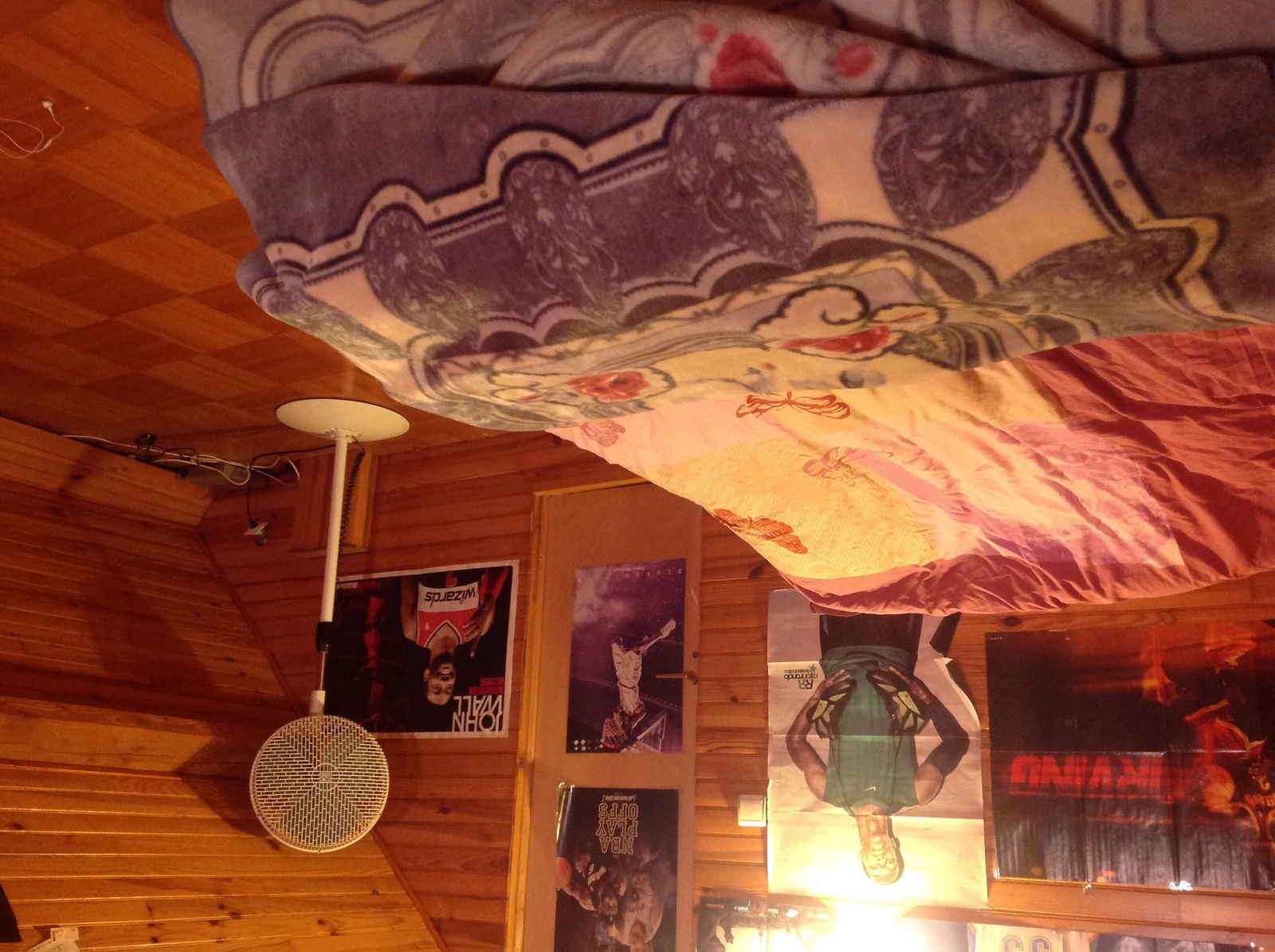 Kolokasie Vaux-le-Pénil 123879