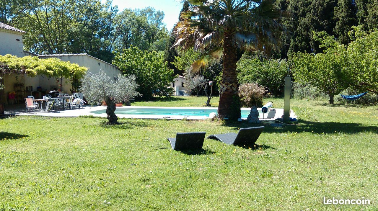 Kolokasie Arles 178186